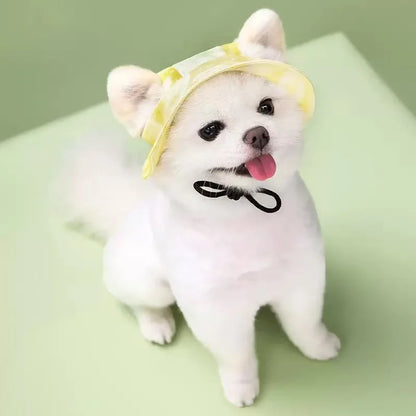Pet Dog Cat Cap Breathable