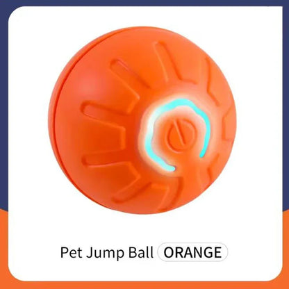 Intelligent pet toy ball electronic