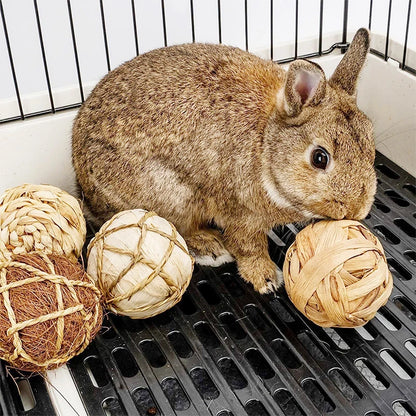 7CM Chewing Braided Ball Guinea Pig