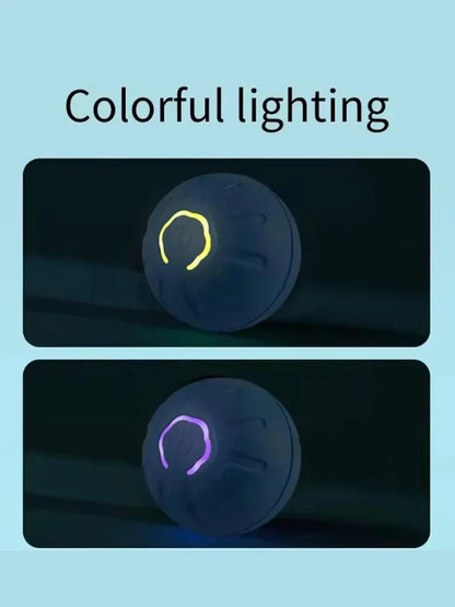 Intelligent pet toy ball electronic